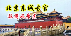 91九色国产中国北京-东城古宫旅游风景区